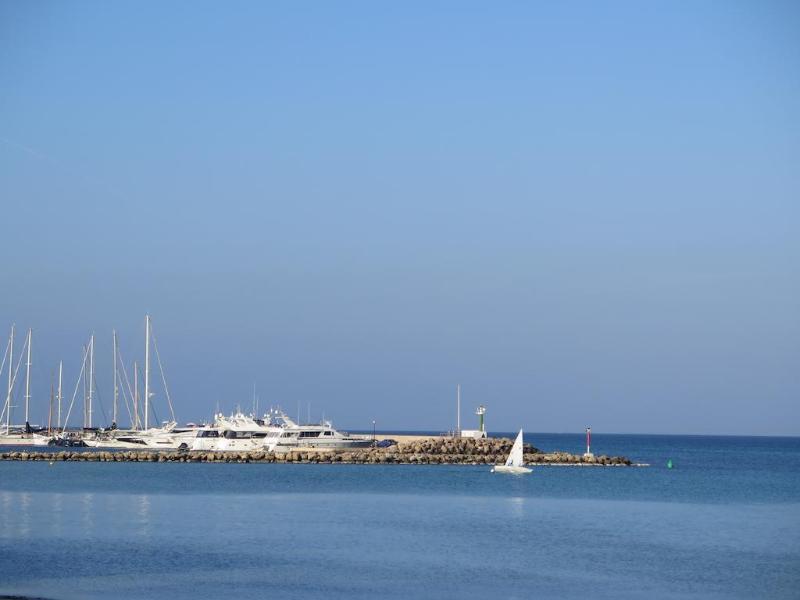 Elegance Playa Arenal III Pansiyon S'Arenal Dış mekan fotoğraf