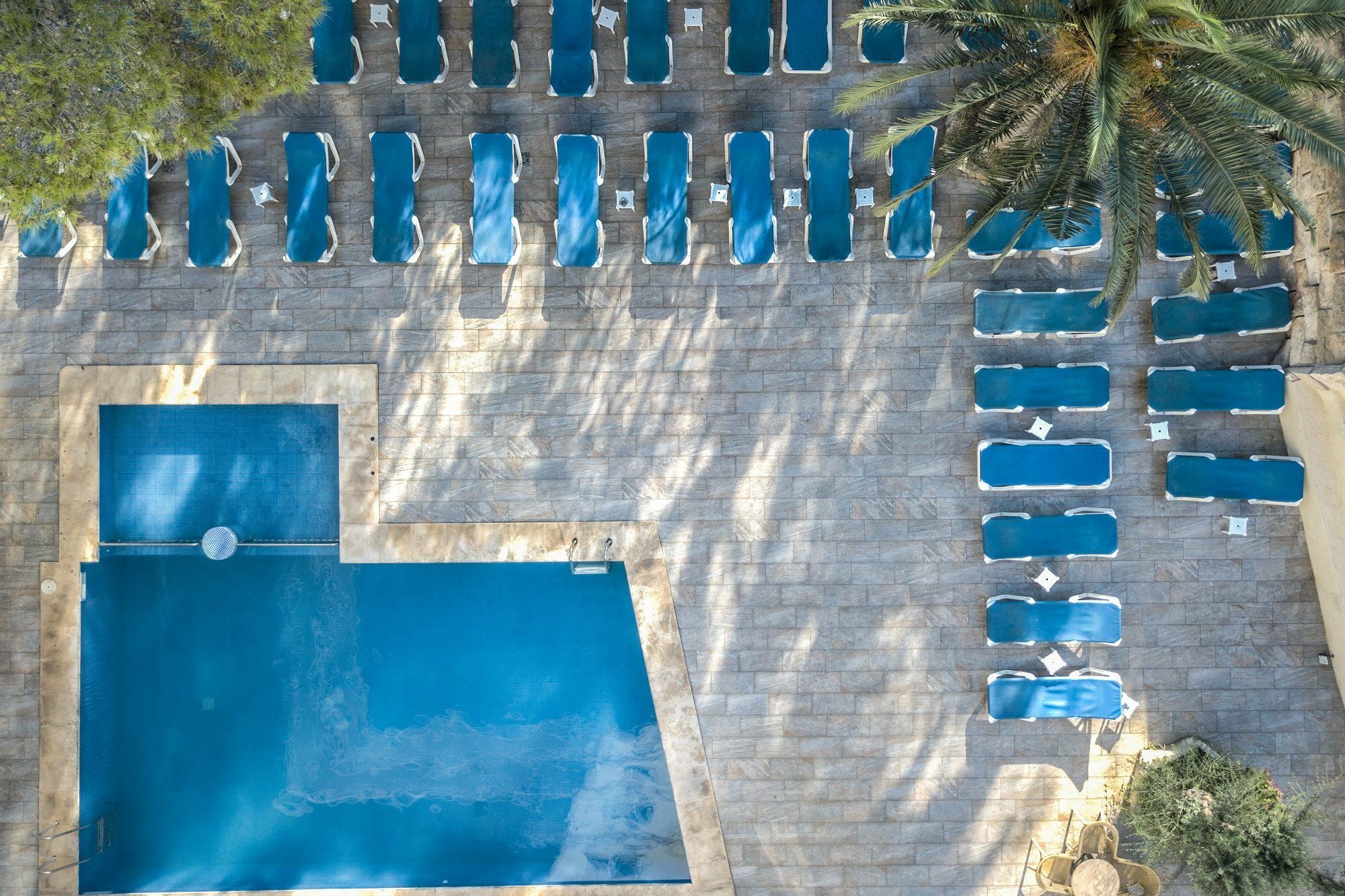 Elegance Playa Arenal III Pansiyon S'Arenal Dış mekan fotoğraf